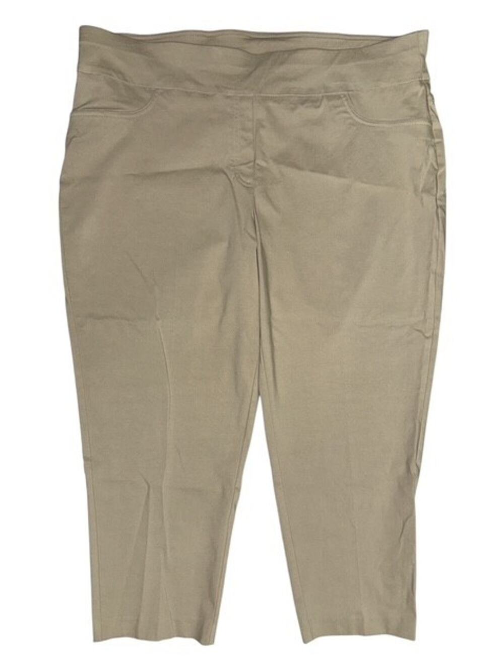 Ruby Rd 24W Ankle Pants Beige Casual Rayon Nylon Slimming Contour Wide Waistband